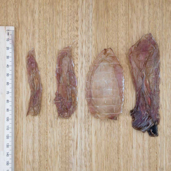 Goat Testicle Skins