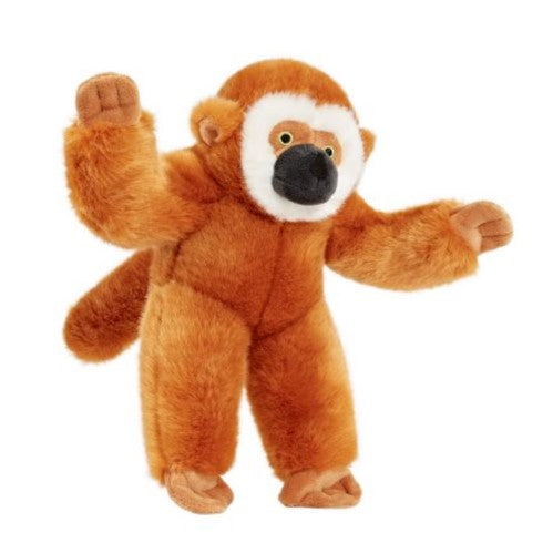 Marcel Monkey - Medium