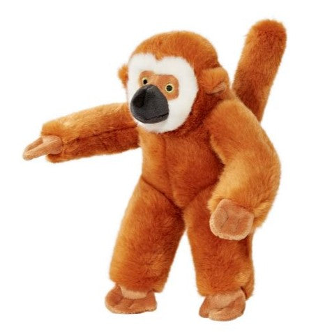 Marcel Monkey - Medium