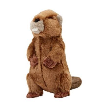 Troy Beaver - Medium - Give Paws