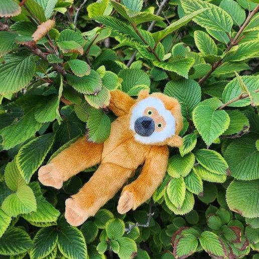 Marcel Monkey - Medium - Give Paws