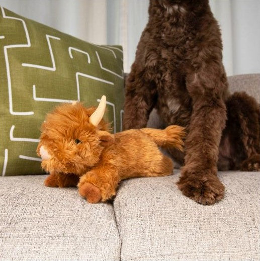Shaggy the Highland Cow - Medium