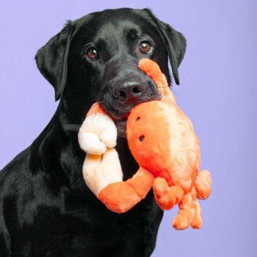 Phyllis Crab - Medium - Give Paws