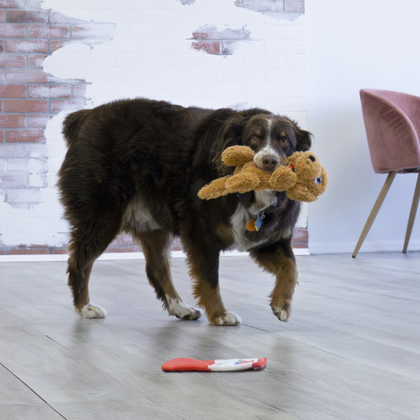 KONG Comfort Pups Goldie - Give Paws