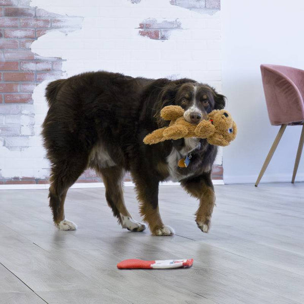 KONG Comfort Pups Goldie - Give Paws