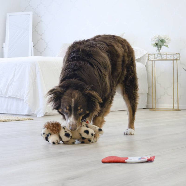 KONG Comfort Pups Spot - Give Paws