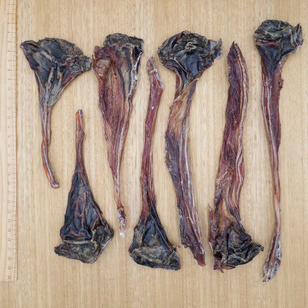 Kangaroo Tendons - Give Paws