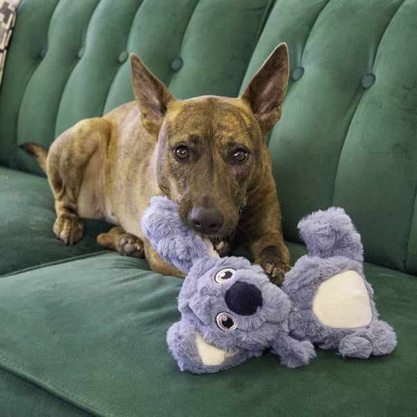 KONG Scrumplez Koala - Give Paws