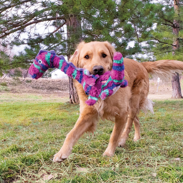 KONG Shaker Honkers Dragon - Give Paws