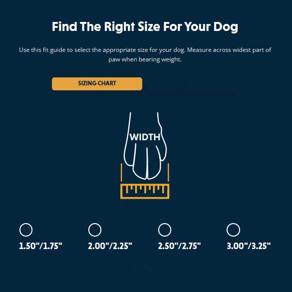 Bark’n Boot Dog Socks - Give Paws