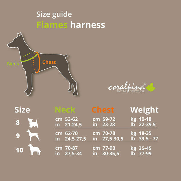 Coralpina Fiames Reflective Harness
