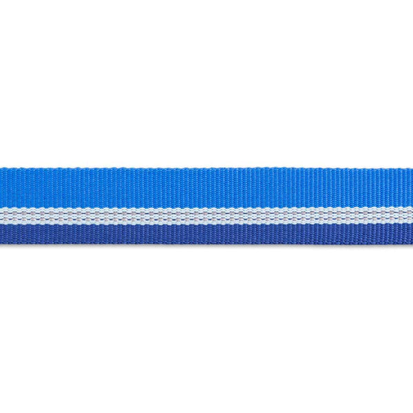 Ruffwear Chain Reaction Martingale Dog Collar - Give Paws