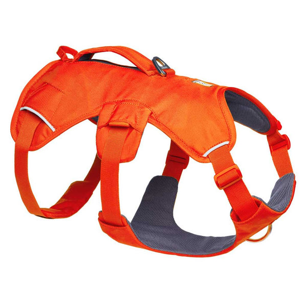 Ruffwear Web Master Dog Harness with Handle - Give Paws