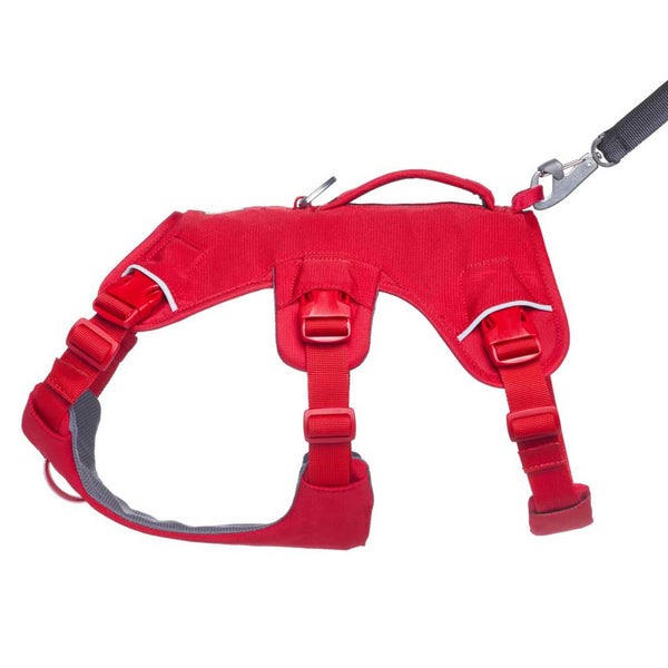 Ruffwear Web Master Dog Harness with Handle - Give Paws
