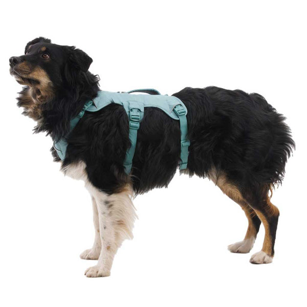 Ruffwear Web Master Dog Harness with Handle - Give Paws