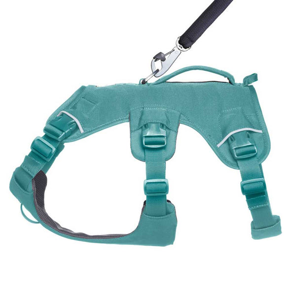 Ruffwear Web Master Dog Harness with Handle - Give Paws