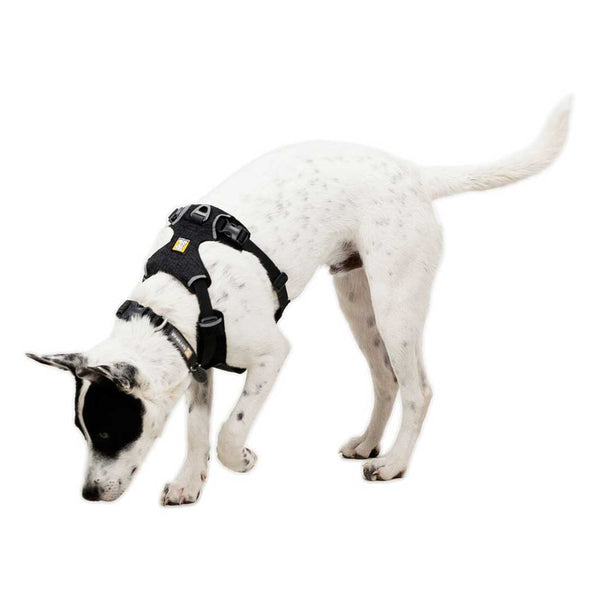 Ruffwear Front Range Flex Harness - Give Paws