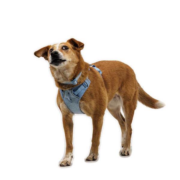 Ruffwear Front Range Flex Harness - Give Paws