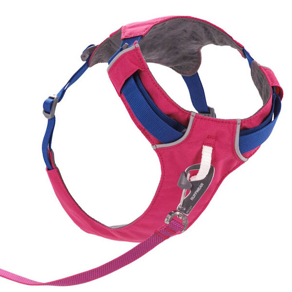 Ruffwear Hi & Light Dog Harness - Give Paws