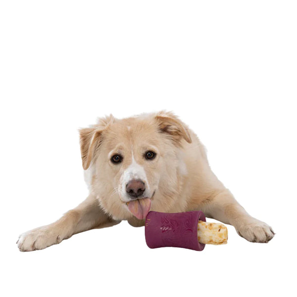 West Paw Funnl