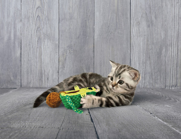 KONG Wrangler AvoCATo - Give Paws