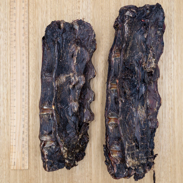 Kangaroo Lumbar - Give Paws