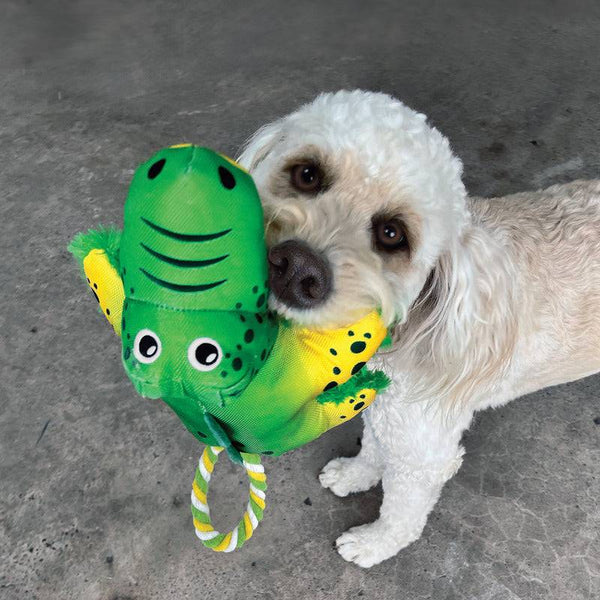 KONG Cozie Tuggz Alligator - Give Paws