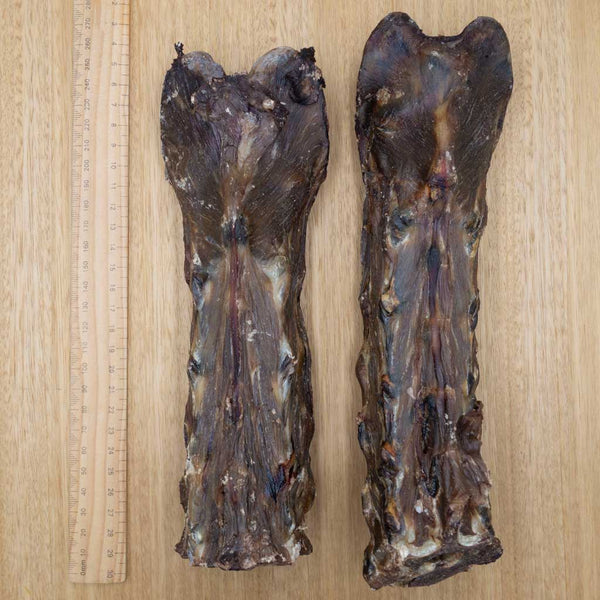Lamb Necks - Give Paws
