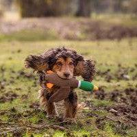 Sustainapaws Duck 100% Recycled Plastic Double Layered Plush Dog Toy - Give Paws