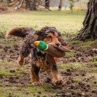 Sustainapaws Duck 100% Recycled Plastic Double Layered Plush Dog Toy - Give Paws
