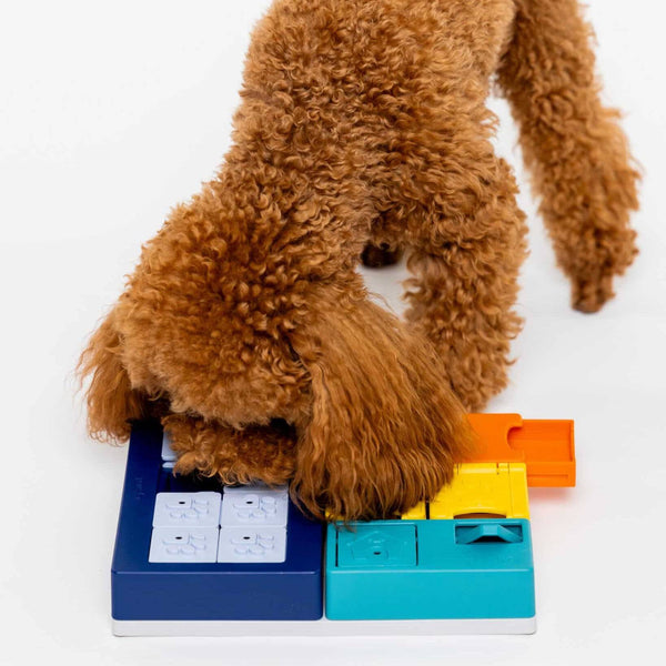 Pawzler Smarty Set - Give Paws