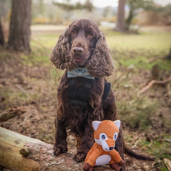 Sustainapaws Fox 100% Recycled Plastic Double Layered Plush Dog Toy - Give Paws