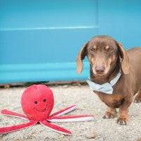 Sustainapaws Octopus 100% Recycled Plastic Double Layered Plush Dog Toy - Give Paws