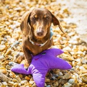 Sustainapaws Starfish 100% Recycled Plastic Double Layered Plush Dog Toy - Give Paws