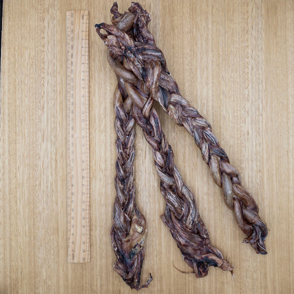 Pork Pizzle - Plaited - Give Paws