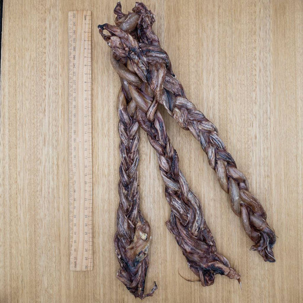 Pork Pizzle - Plaited - Give Paws