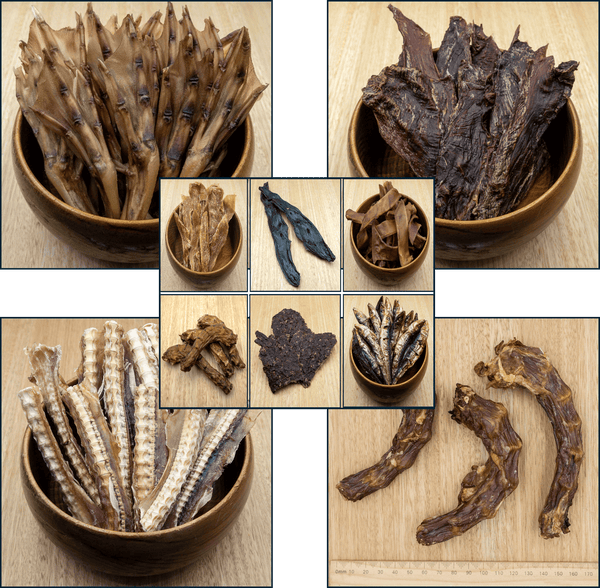 Puppy Pack - Variety Is The Spice of Life - Give Paws