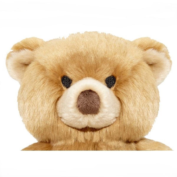 Mr Honey Bear - Medium