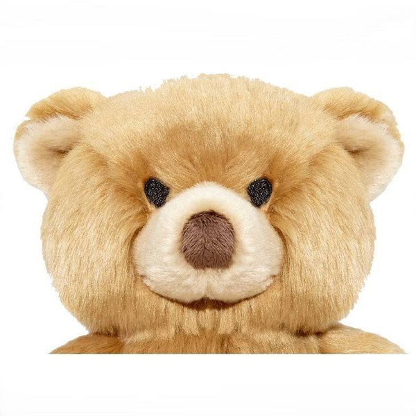 Mr Honey Bear - Medium - Give Paws