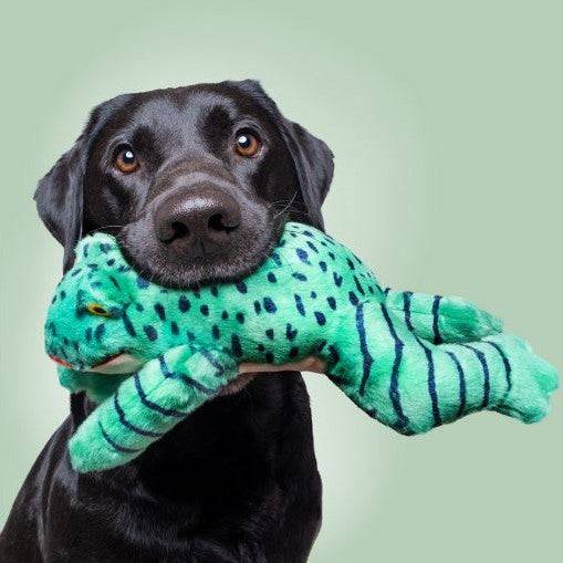 Oliver Frog - Medium - Give Paws