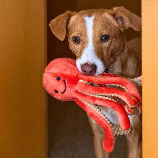 Squirt Octopus - Small - Give Paws
