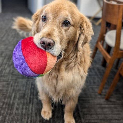 Mini Beach Ball - Small - Give Paws