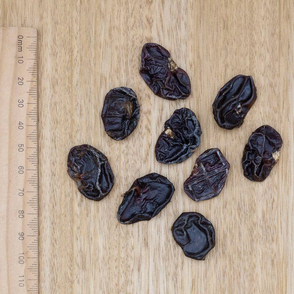 Rabbit Kidney - Give Paws