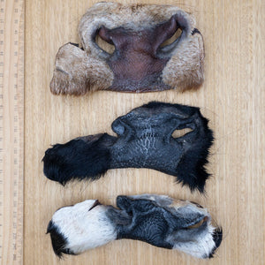 Cow Snouts - Give Paws