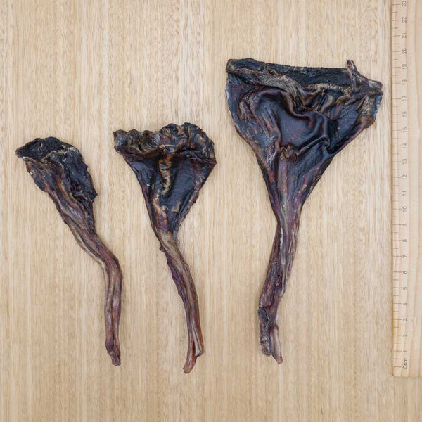 Kangaroo Tendons - Stumpies - Give Paws