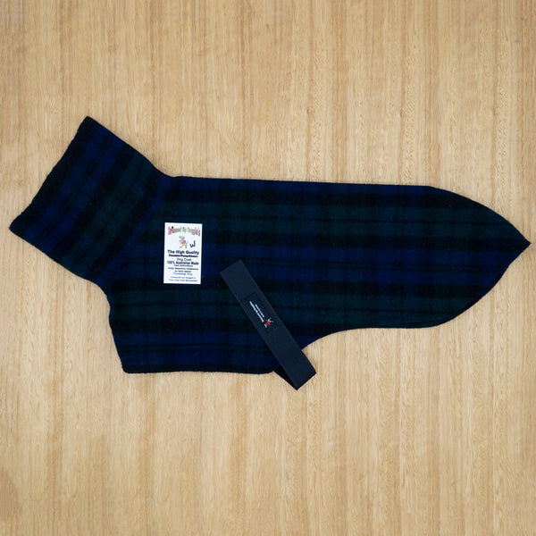 55cm Single Wool Coat - Whippet - Give Paws