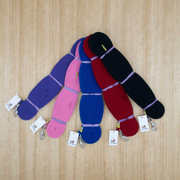 12mm x 10 metre Webbing Lead with Light Clip - Give Paws