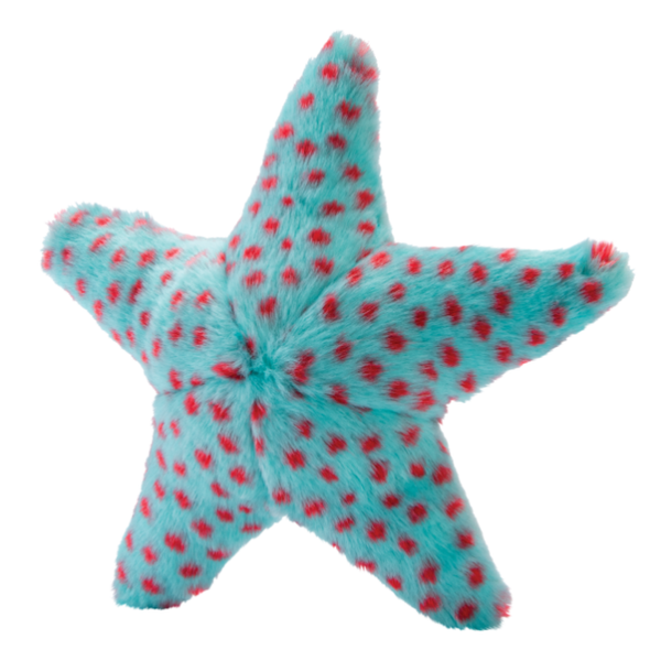 Ally Starfish - Small - Give Paws