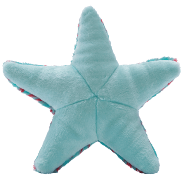 Ally Starfish - Small - Give Paws
