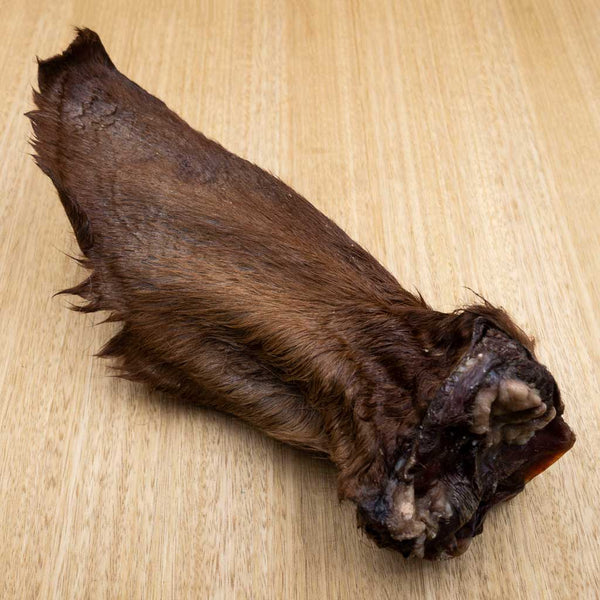 Cow Ears - Give Paws